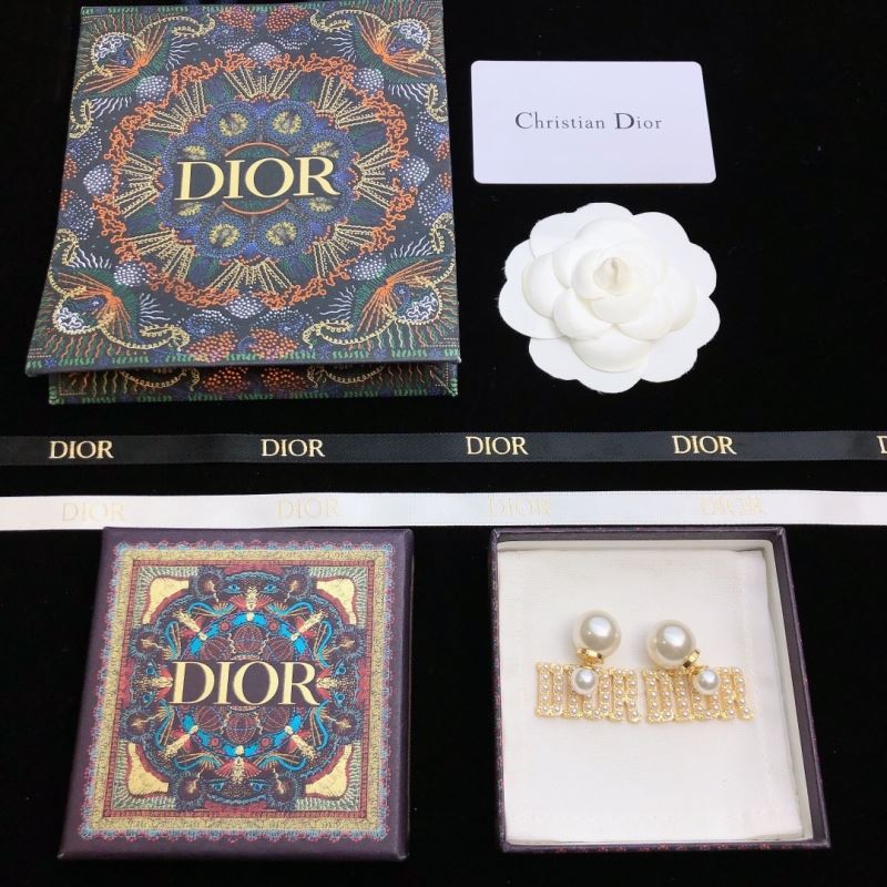 Christian Dior Earrings